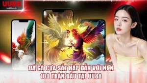 Đá gà cựa sắt