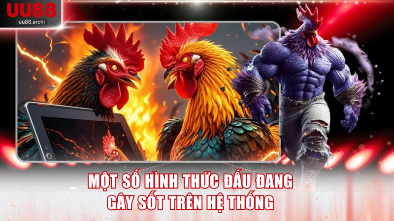 Một số hình thức đấu đang gây sốt trên hệ thống