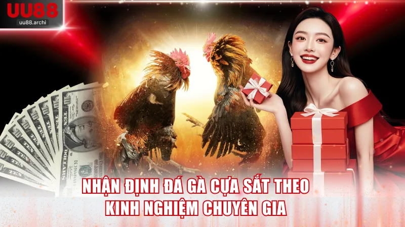 Nhận định đá gà cựa sắt theo kinh nghiệm chuyên gia