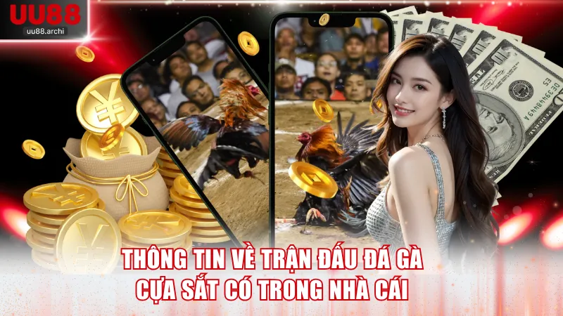 Thông tin về trận đấu đá gà cựa sắt có trong nhà cái
