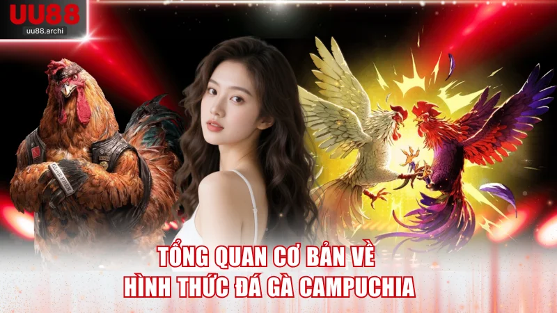 Tổng quan cơ bản về hình thức đá gà Campuchia
