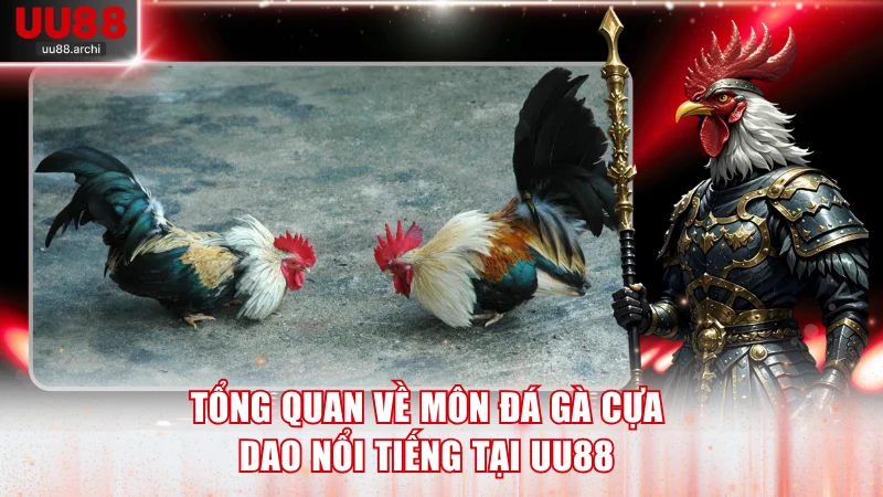 Tổng quan về môn đá gà cựa dao nổi tiếng tại UU88